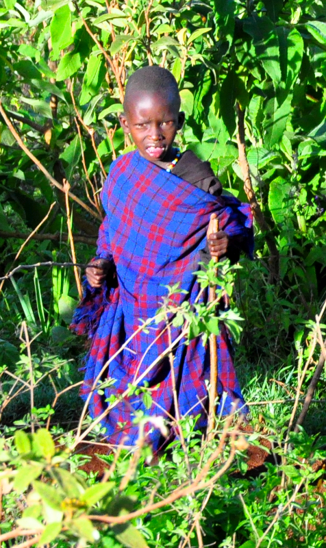 Ngorongoro Crater - Serengeti National Park